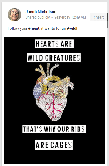 heart-runs-wild